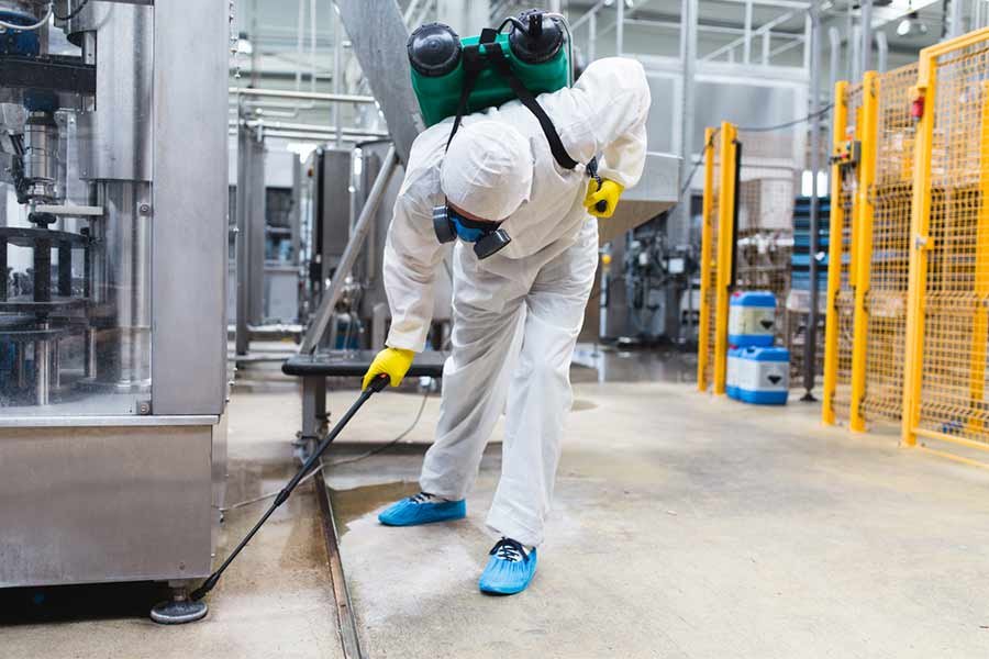 Deep cleaning special service